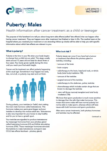Front cover of late effect factsheet - Male puberty